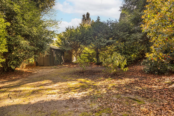 Foto 20 van Ericapark 40