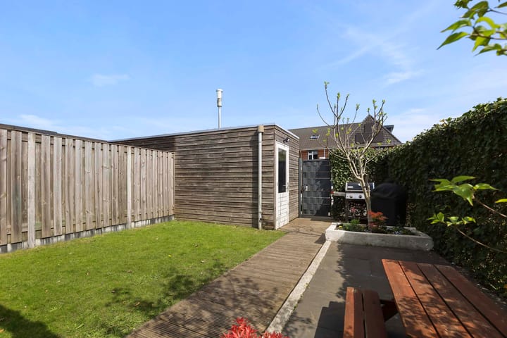 Photo 14 of Vliegenzwam 82