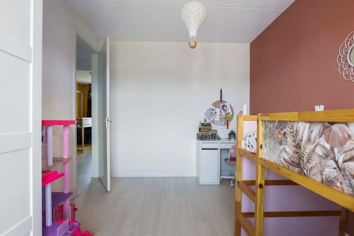 Photo 22 of Vliegenzwam 82