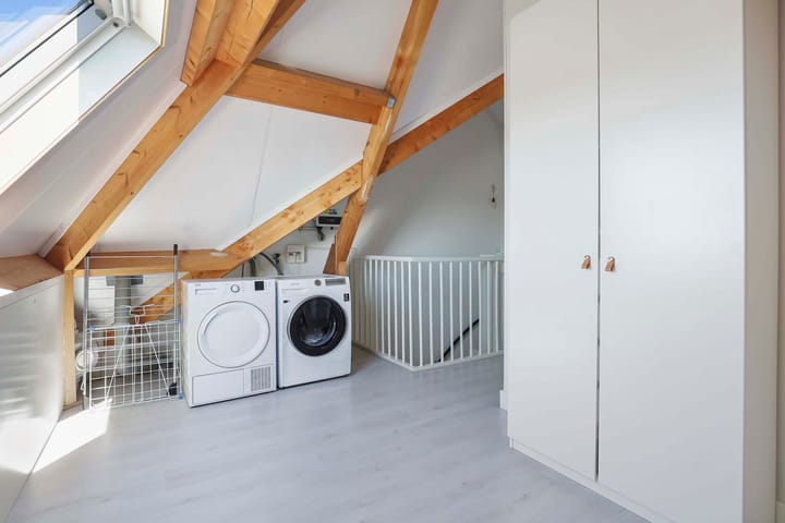 Photo 26 of Vliegenzwam 82