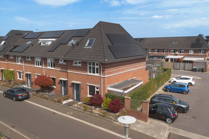 Photo 32 of Vliegenzwam 82