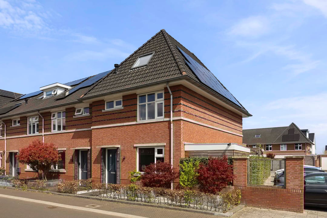 Foto 1 van Vliegenzwam 82