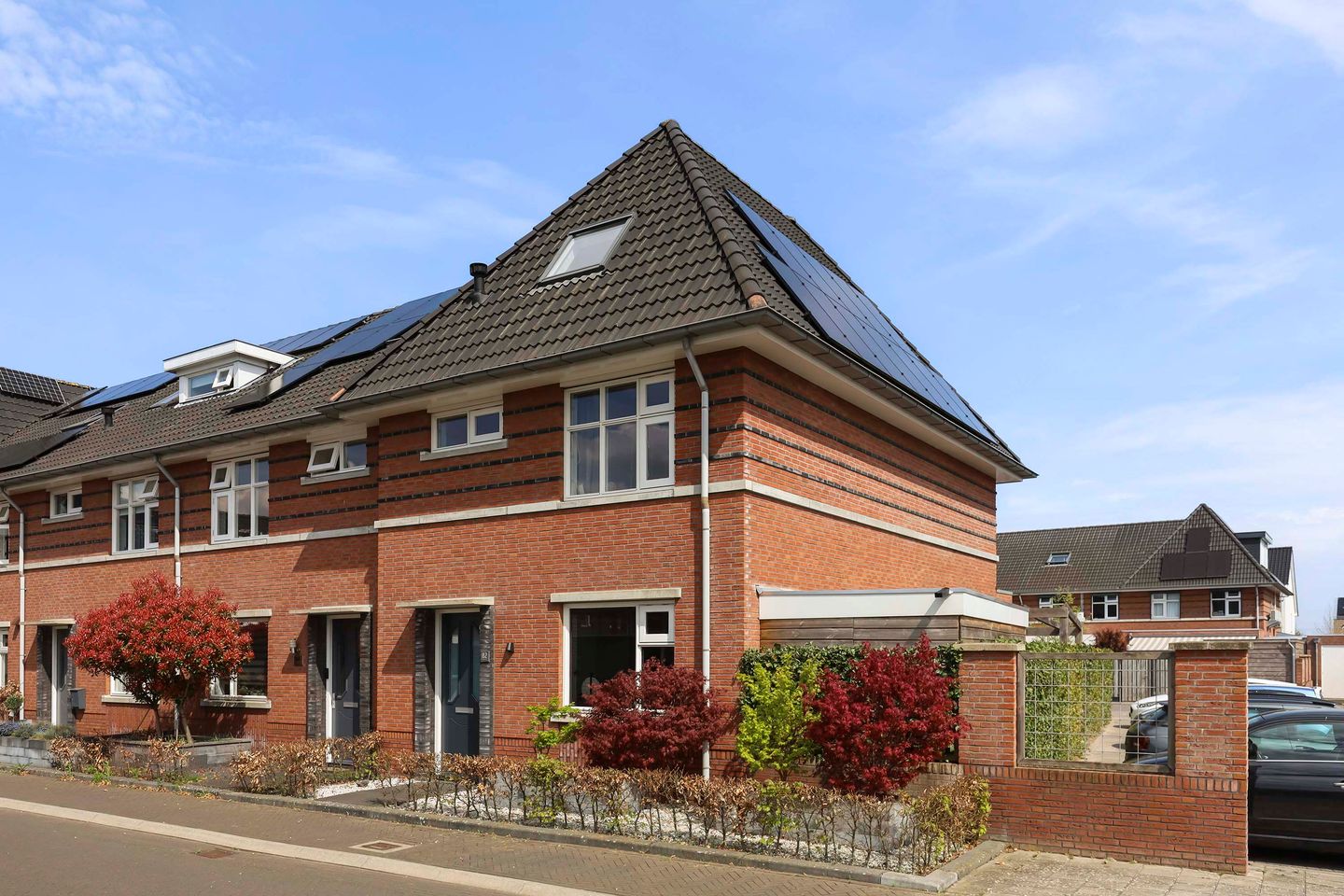 Foto 1 van Vliegenzwam 82