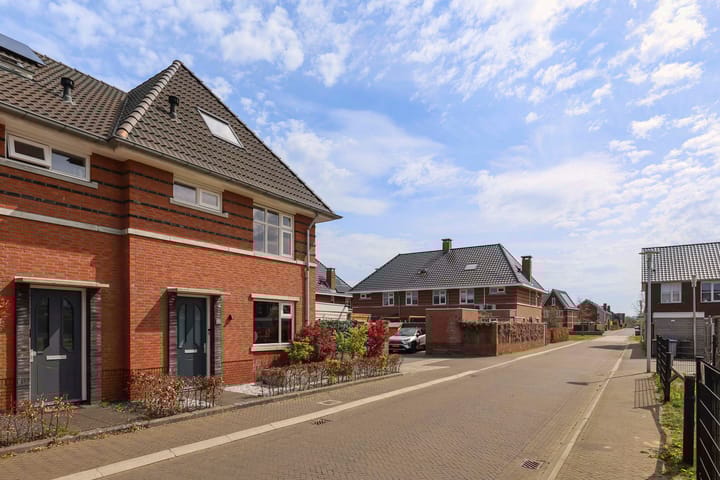 Photo 35 of Vliegenzwam 82