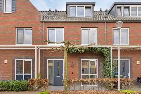 undefined main image