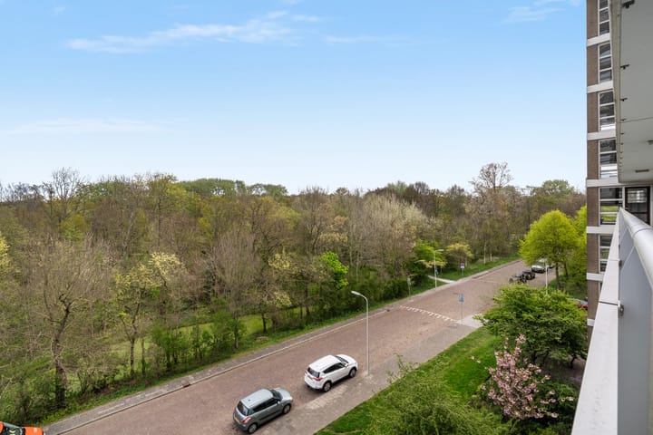 Foto 3 van Heliotrooplaan 356-D