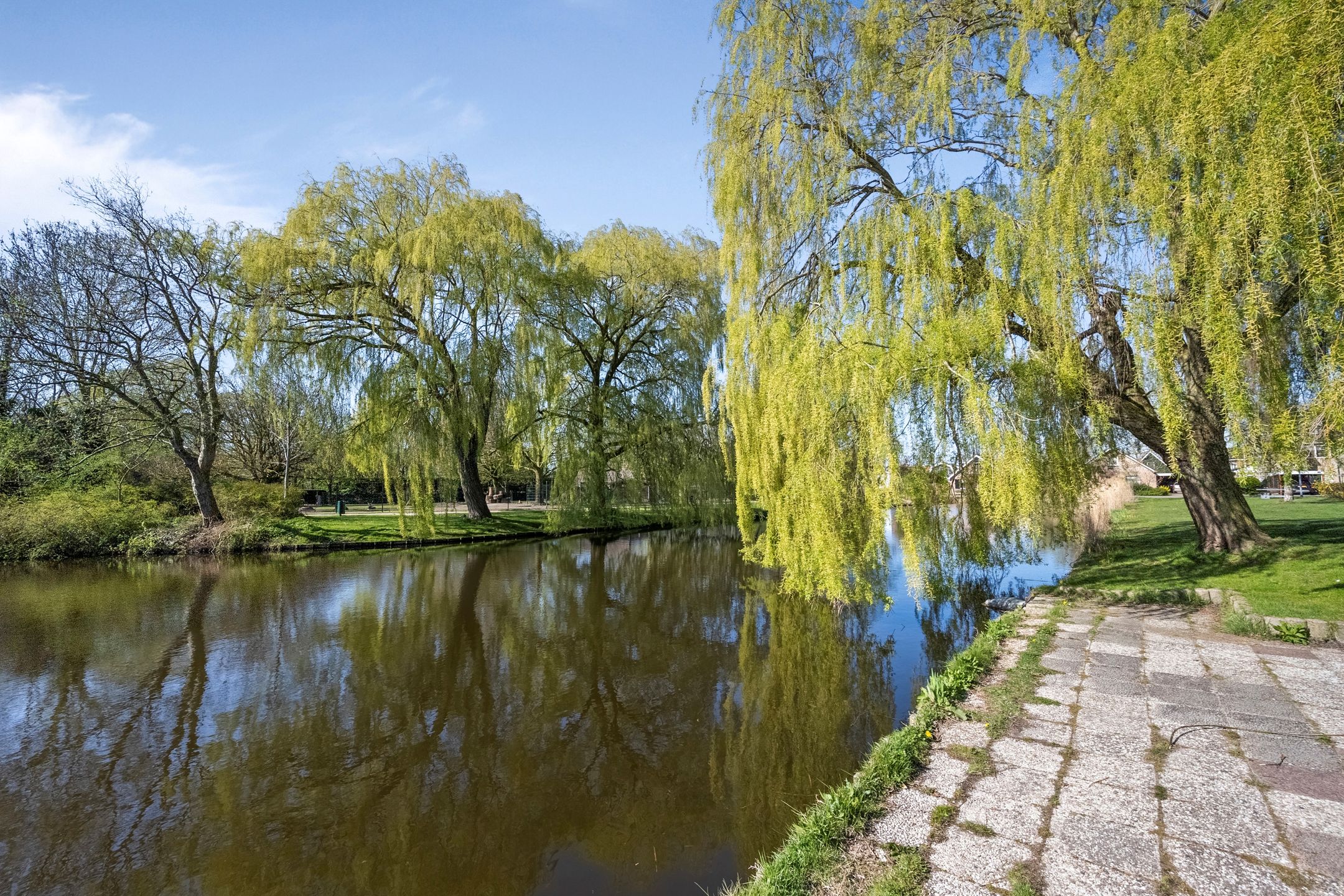 Foto 54 van Mauritsstraat 4