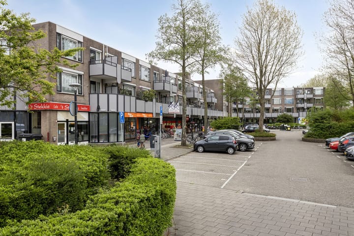 Photo 18 of Pearl Buck-erf 205