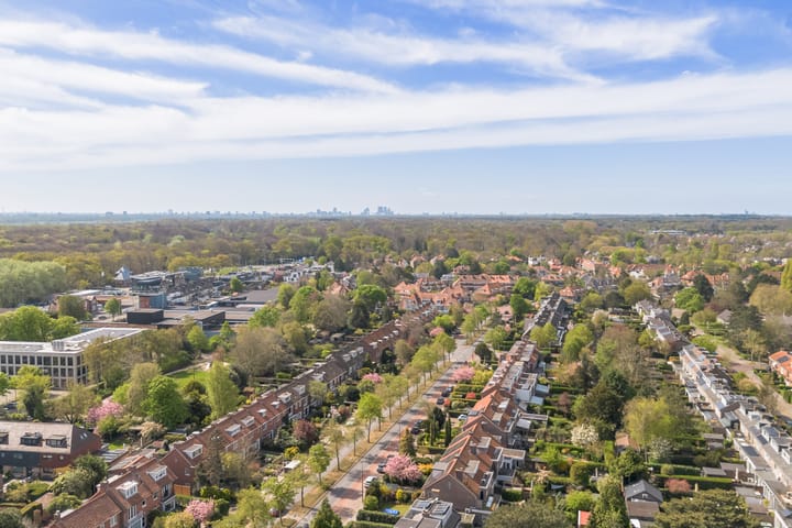 Foto 64 van Clematislaan 1