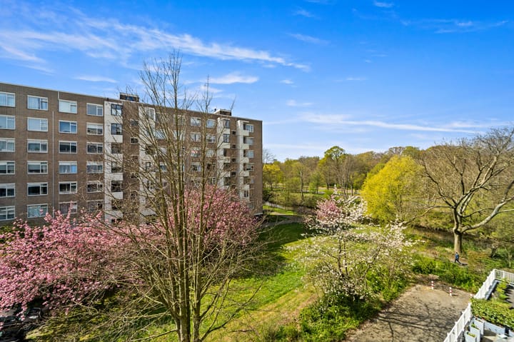 Foto 13 van Vlaskamp 480