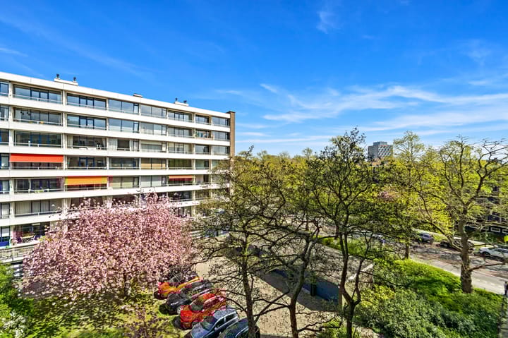 Foto 18 van Vlaskamp 480