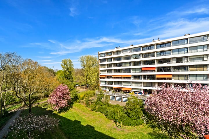 Foto 19 van Vlaskamp 480