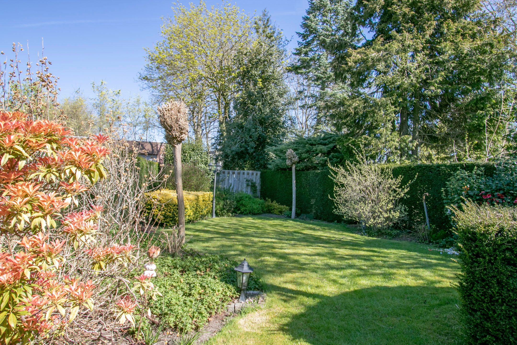 Photo 3 of Bergerothweg 14