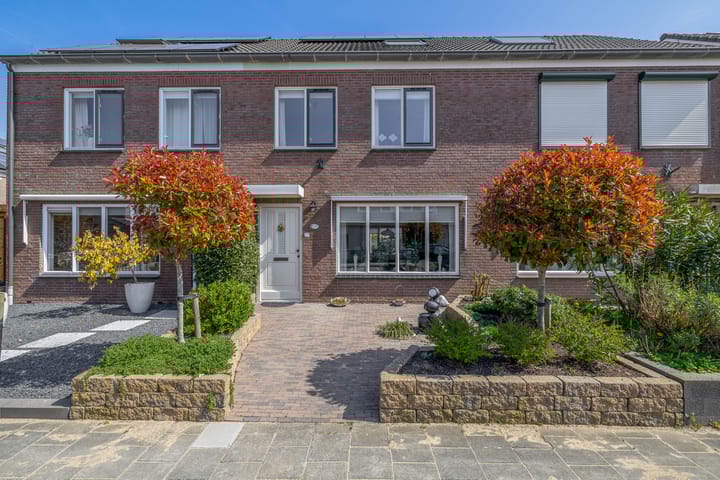 Foto 1 van Bromelia 25