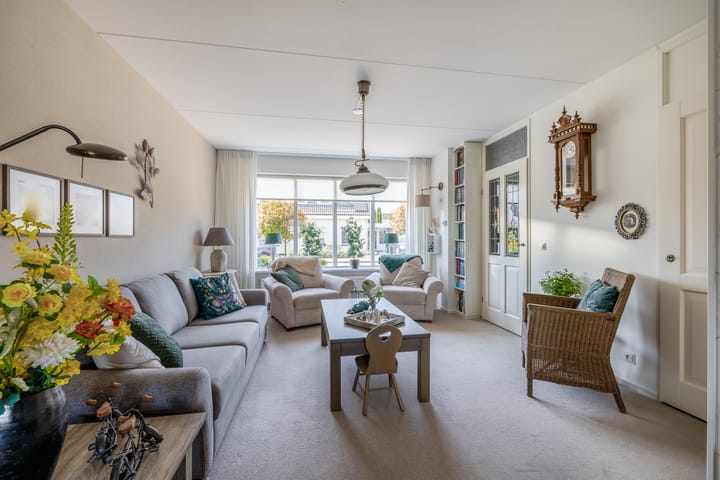 Foto 2 van Bromelia 25