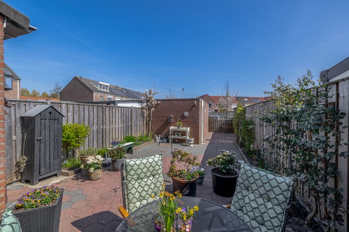 Foto 3 van Bromelia 25