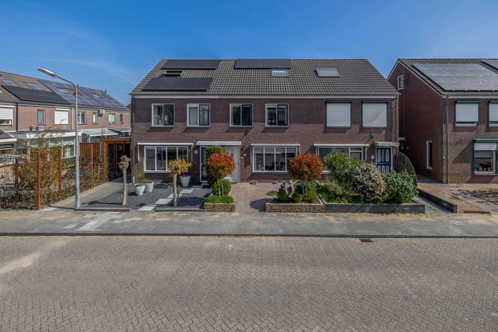 Foto 4 van Bromelia 25