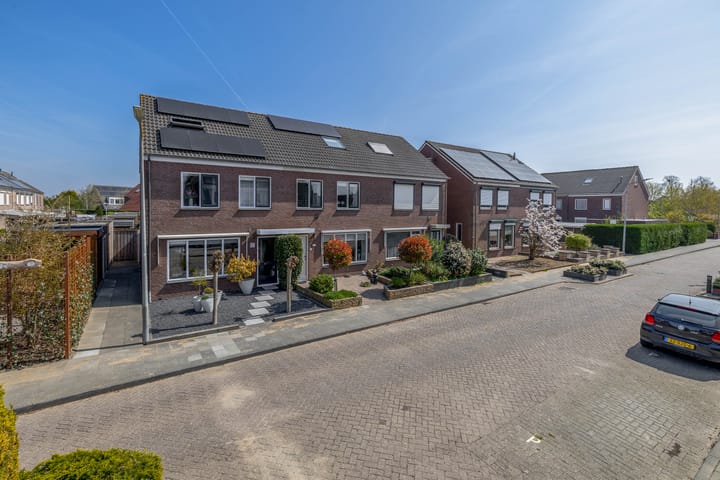 Foto 5 van Bromelia 25