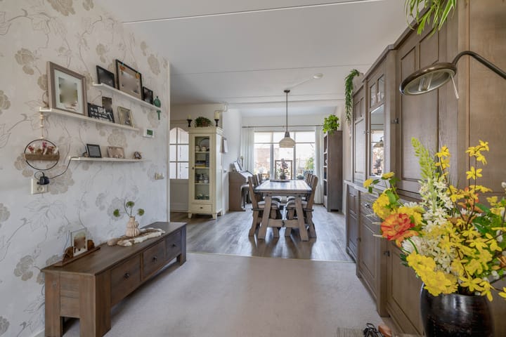 Foto 11 van Bromelia 25