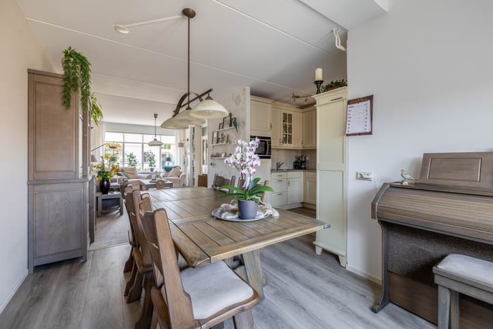 Foto 13 van Bromelia 25