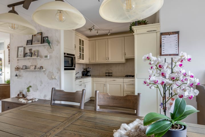 Foto 14 van Bromelia 25