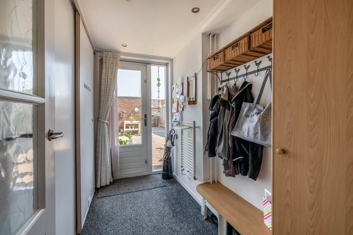 Foto 17 van Bromelia 25