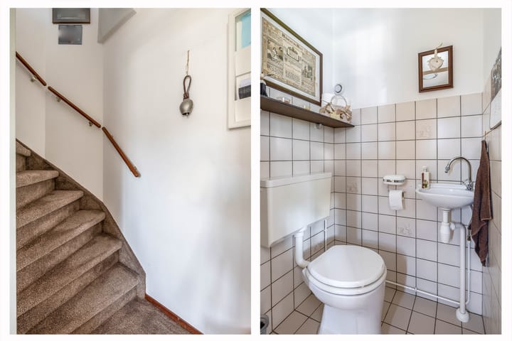 Foto 18 van Bromelia 25