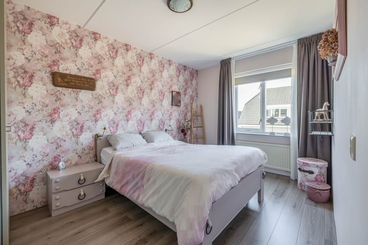 Foto 19 van Bromelia 25