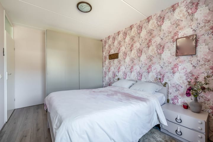 Foto 20 van Bromelia 25