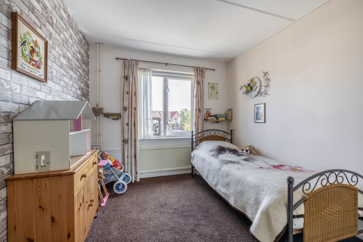 Foto 24 van Bromelia 25