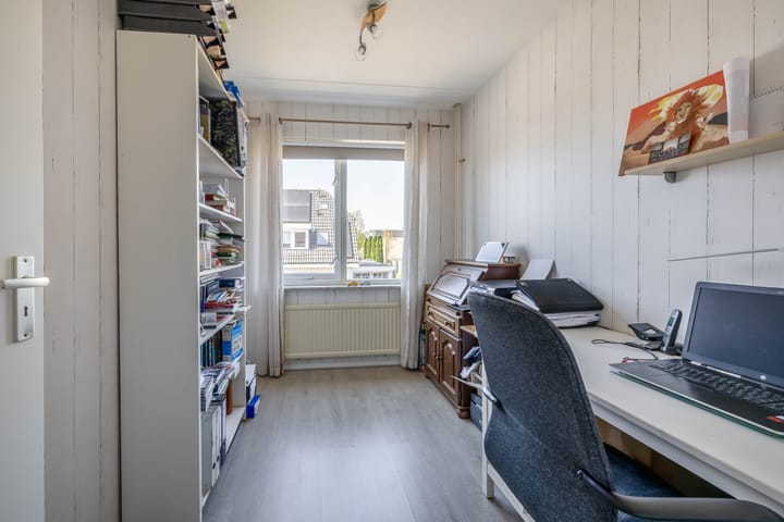 Foto 25 van Bromelia 25