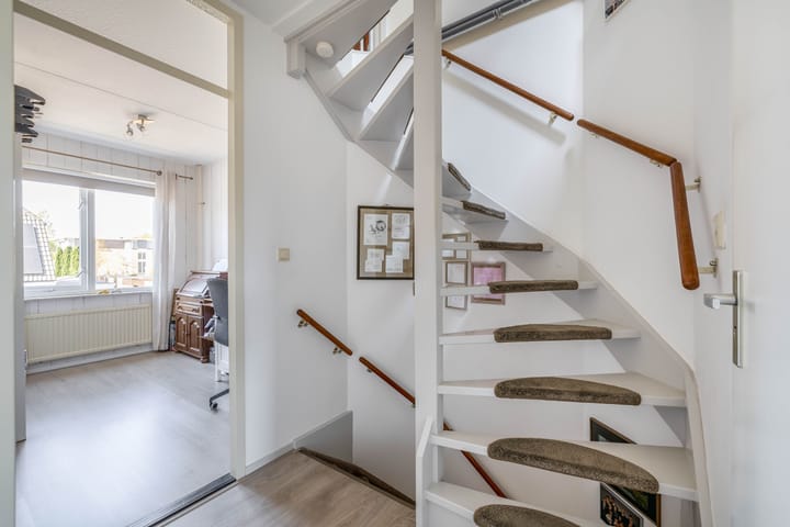 Foto 27 van Bromelia 25