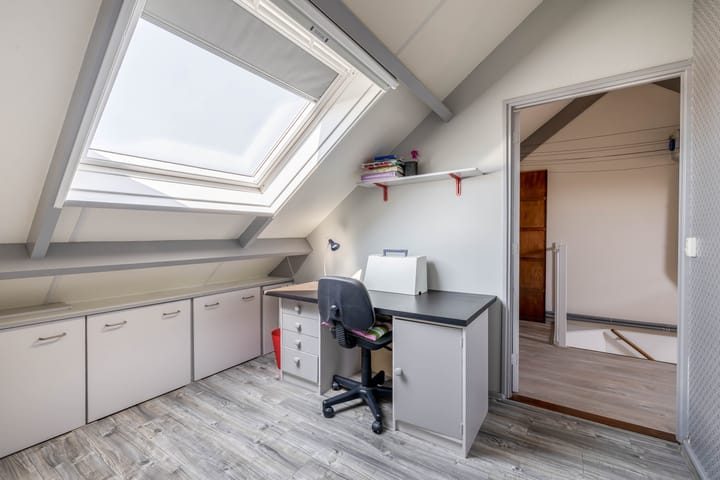 Foto 28 van Bromelia 25