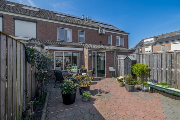 Foto 30 van Bromelia 25