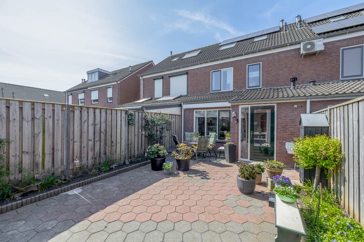 Foto 31 van Bromelia 25