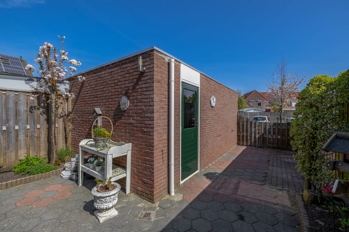 Foto 32 van Bromelia 25