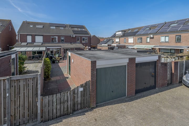 Foto 33 van Bromelia 25