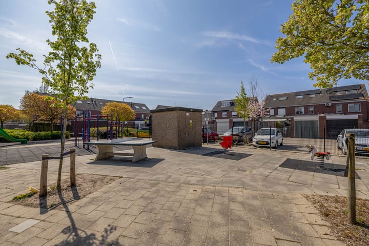 Foto 34 van Bromelia 25