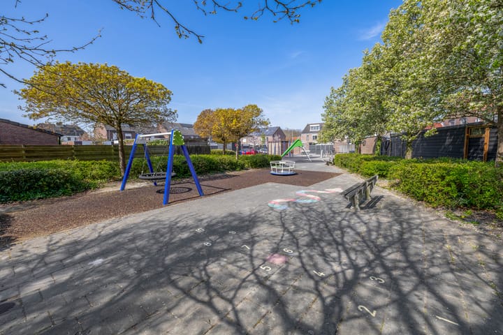 Foto 35 van Bromelia 25