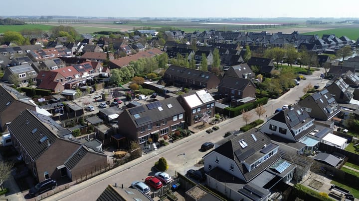 Foto 36 van Bromelia 25