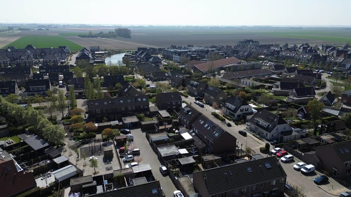 Foto 38 van Bromelia 25