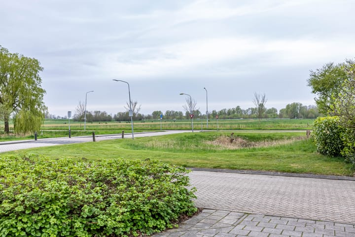 Photo 3 of Weegbree 5