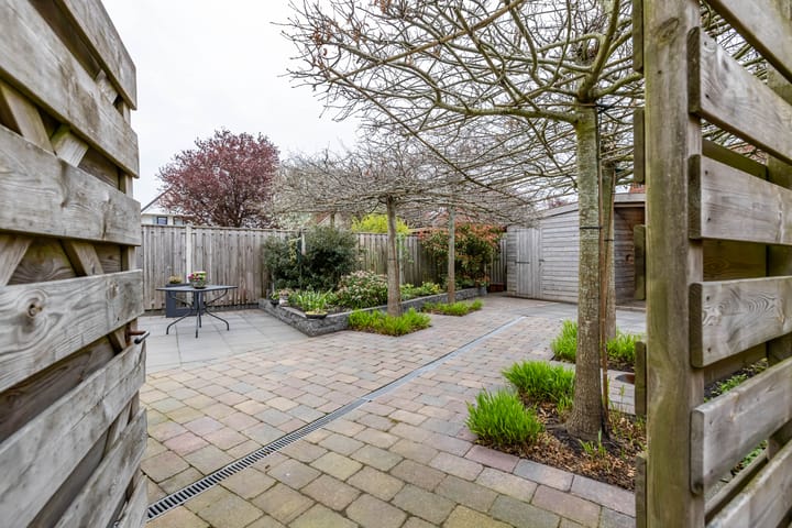 Photo 42 of Weegbree 5