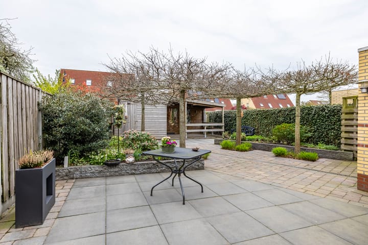 Photo 43 of Weegbree 5