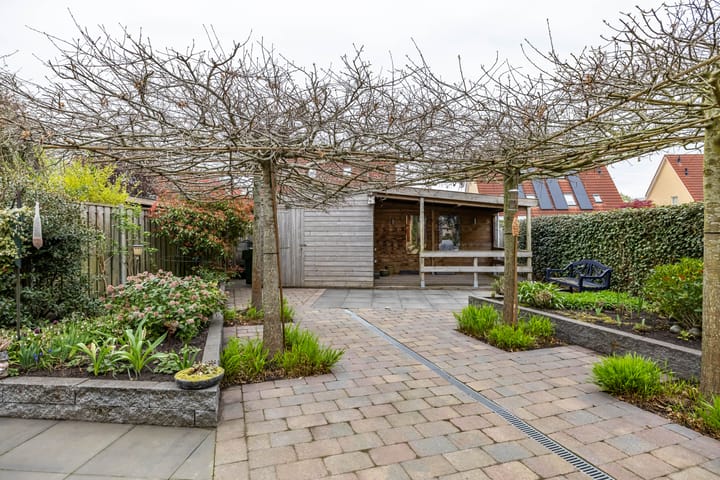 Photo 45 of Weegbree 5