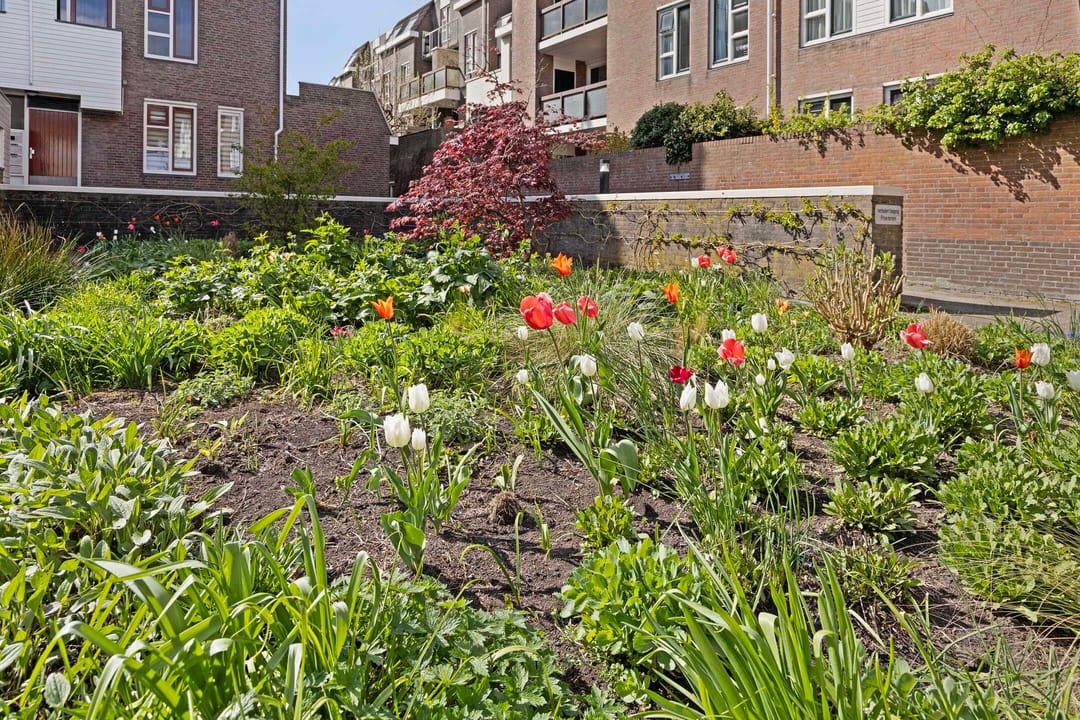 Photo 31 of Neeltje van Zuytbrouckhof 10