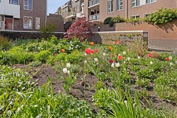 Foto 31 van Neeltje van Zuytbrouckhof 10