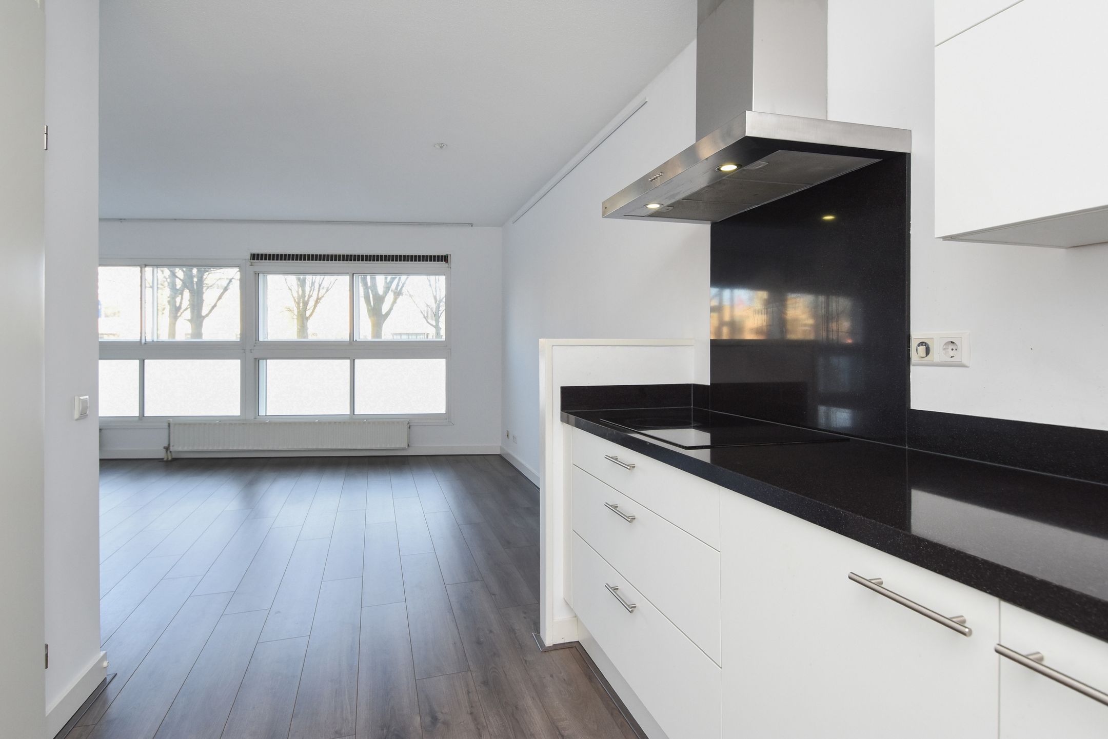 Photo 12 of Cornelis de Wittlaan 12