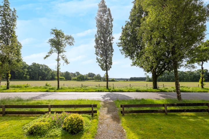 Foto 2 van Wildbaan 1