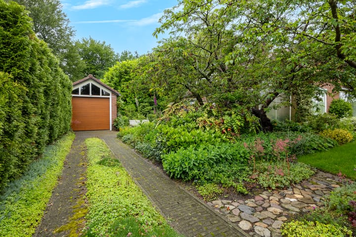 Foto 4 van Wildbaan 1